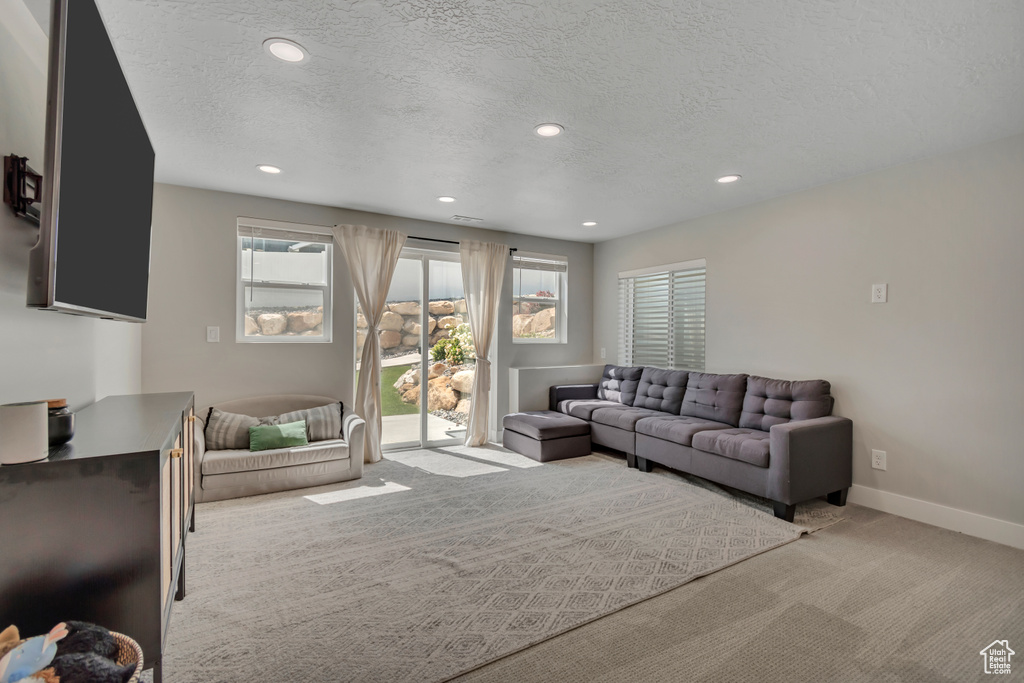 Living area with carpet floors, recessed lighting, and a textured ceiling