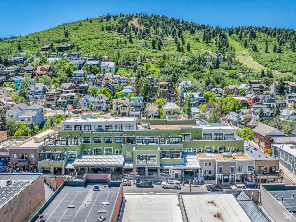 Aerial view of a forest