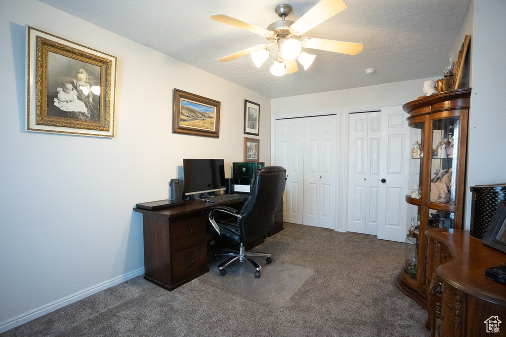 Office space featuring carpet and ceiling fan