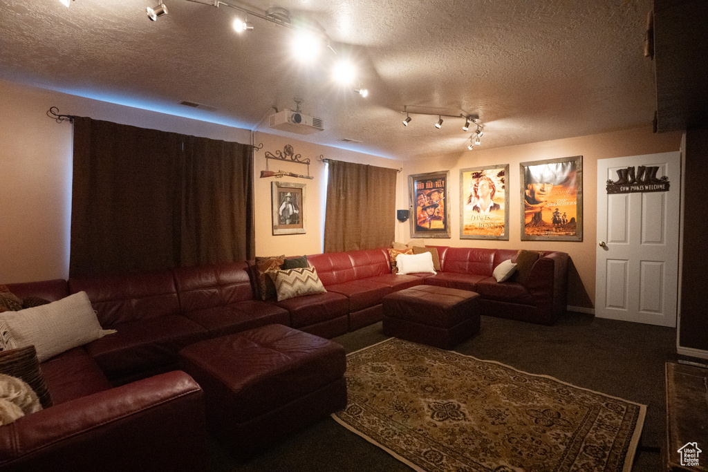 Living room featuring track lighting, a textured ceiling, and carpet flooring