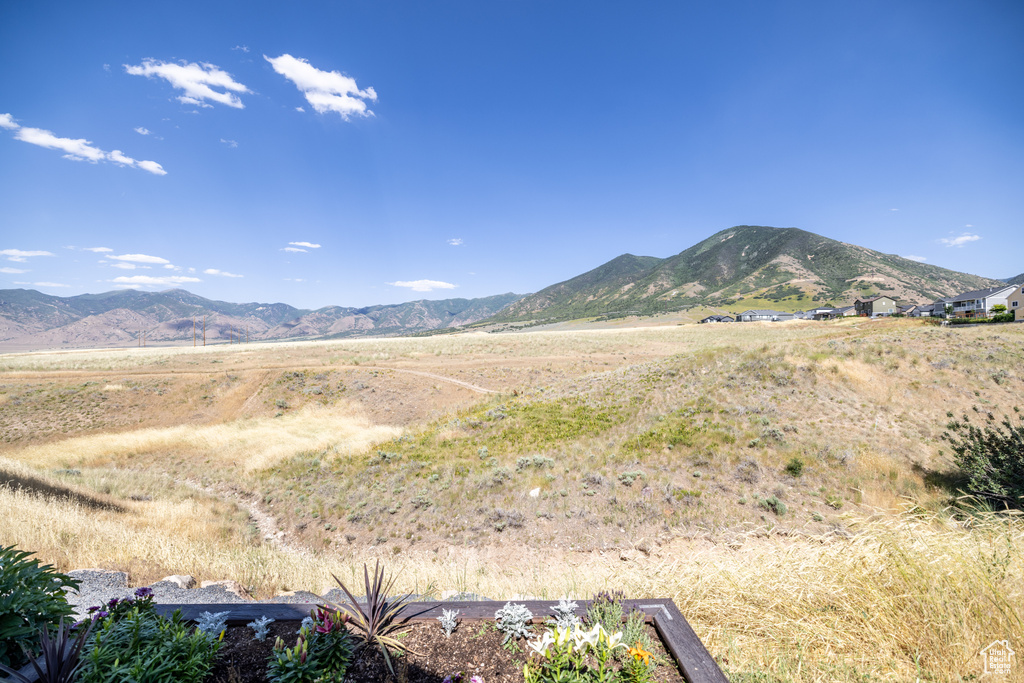 Mountain view