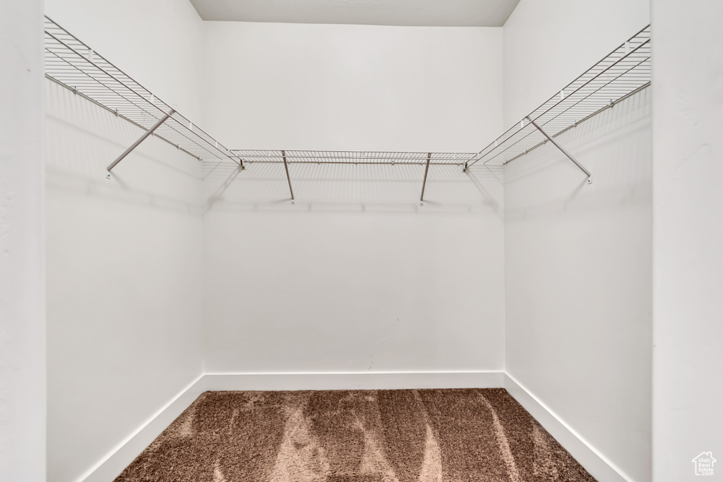Walk in closet featuring carpet floors