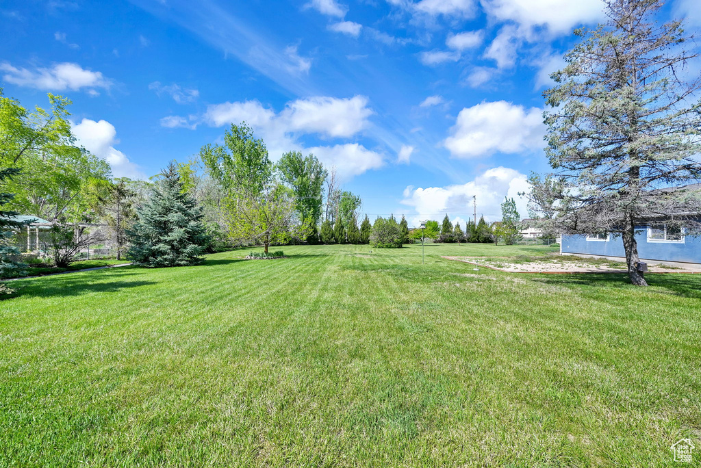 View of grassy yard
