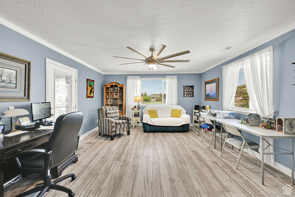 Office area with wood finished floors, crown molding, a ceiling fan, and a textured ceiling