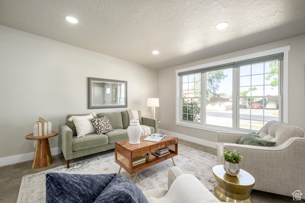 Living room featuring recessed lighting, a textured ceiling, and carpet floors