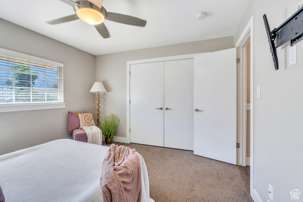 Bedroom featuring carpet flooring, ceiling fan, and a closet