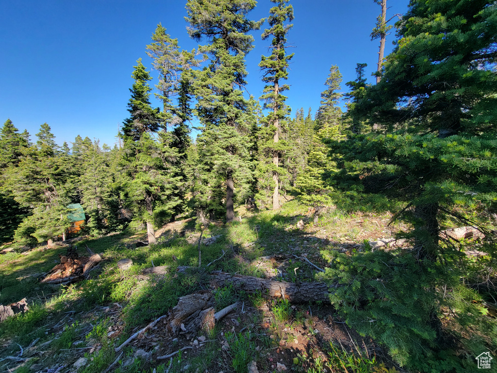 View of undeveloped land