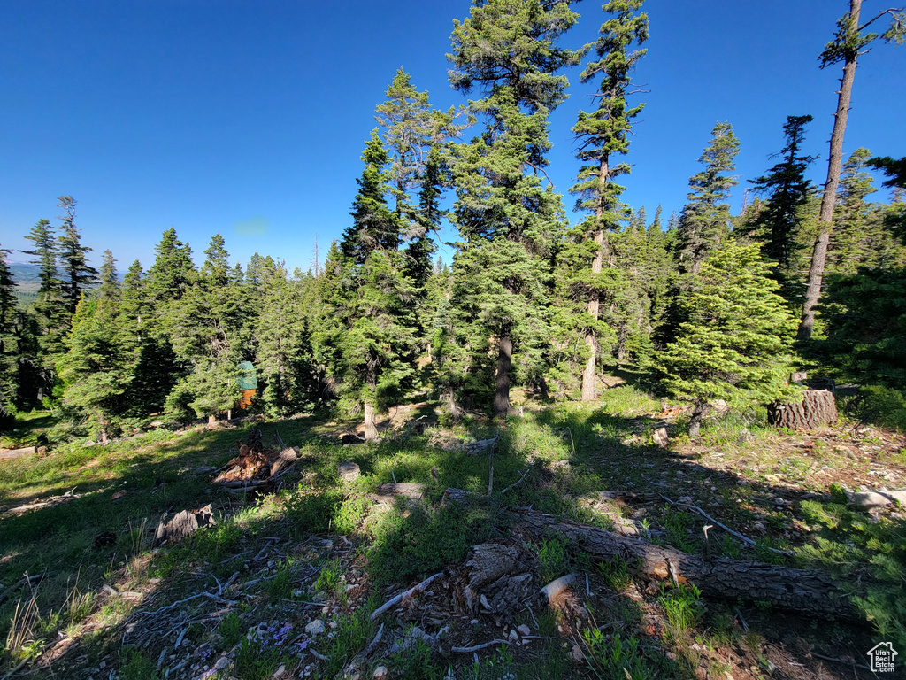 View of nature