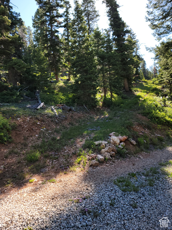 View of nature