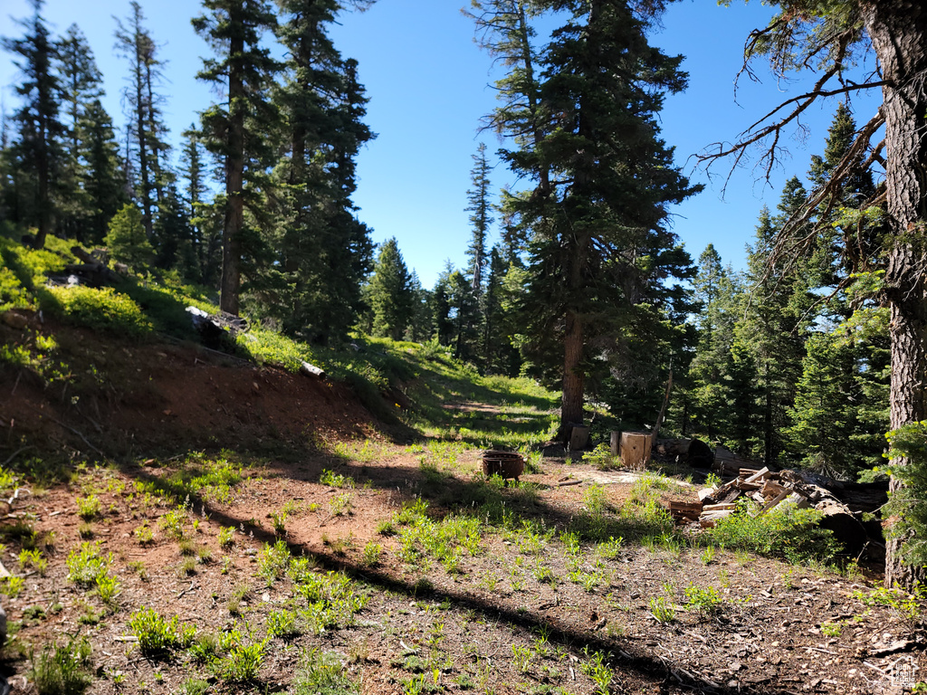 View of undeveloped land