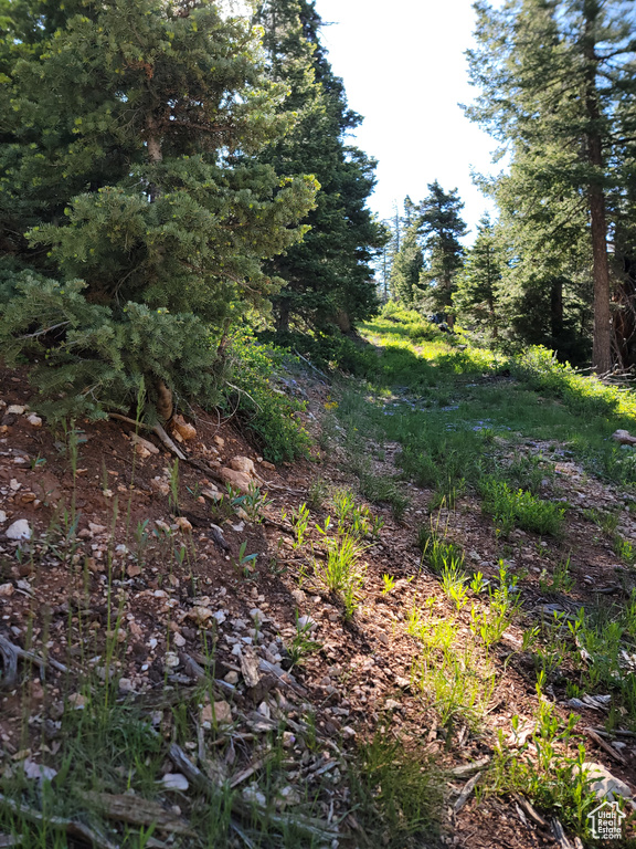 View of undeveloped land
