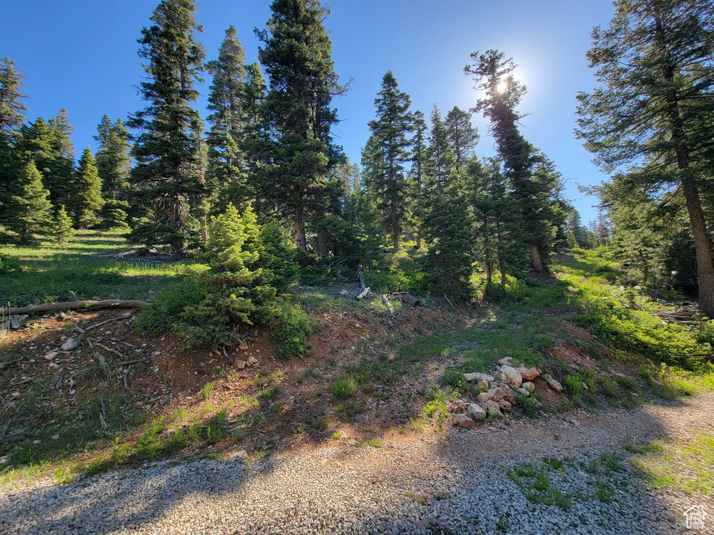 View of woods