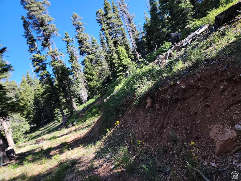 View of nature