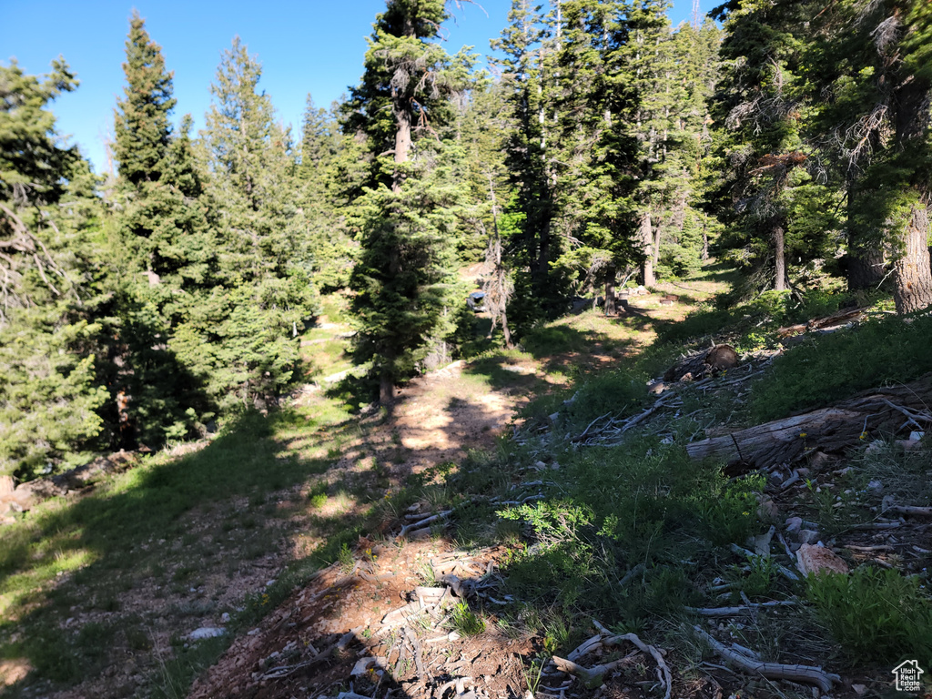 View of nature