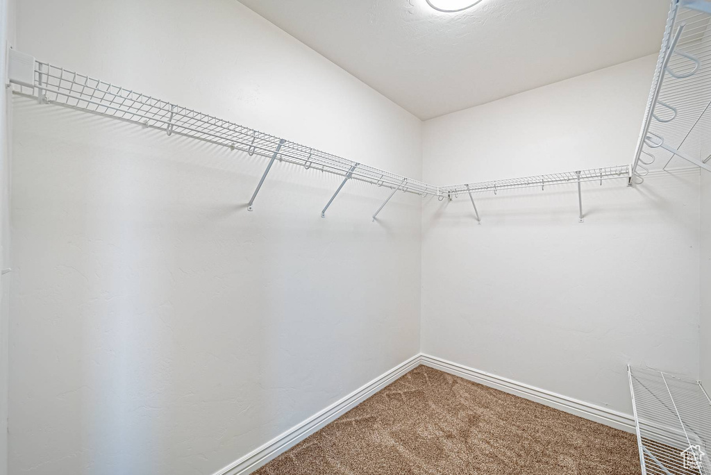 Spacious closet featuring carpet flooring