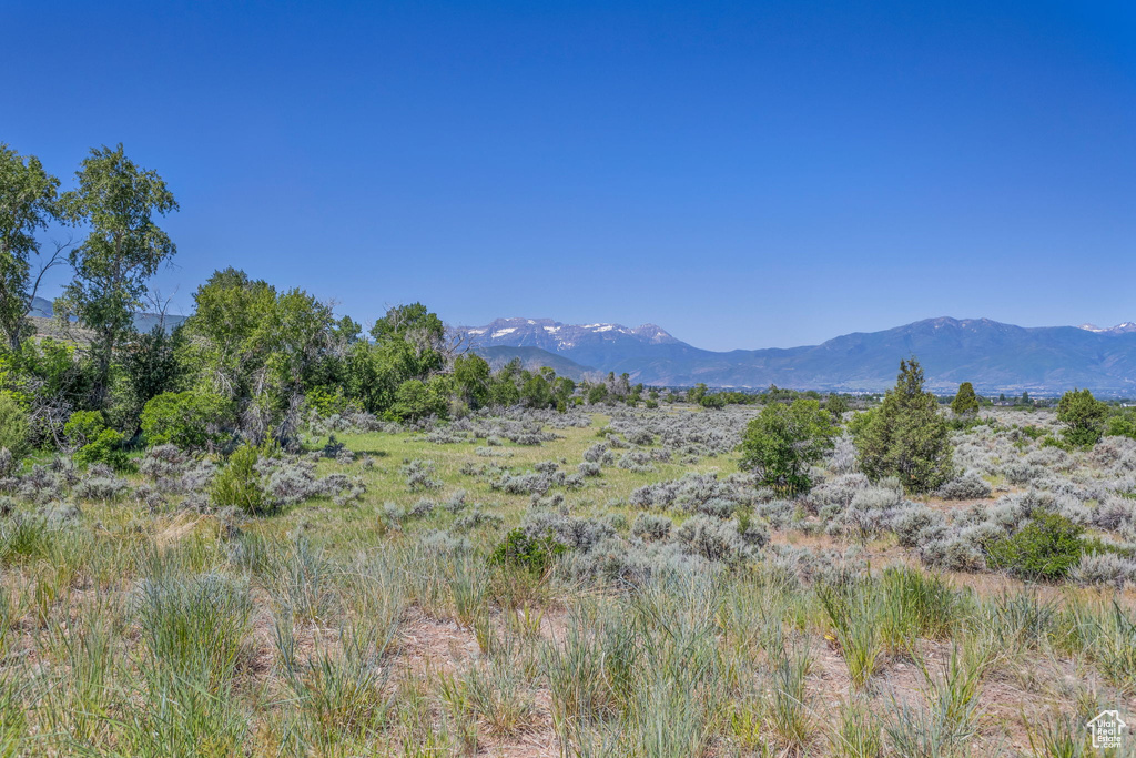 View of mountain background