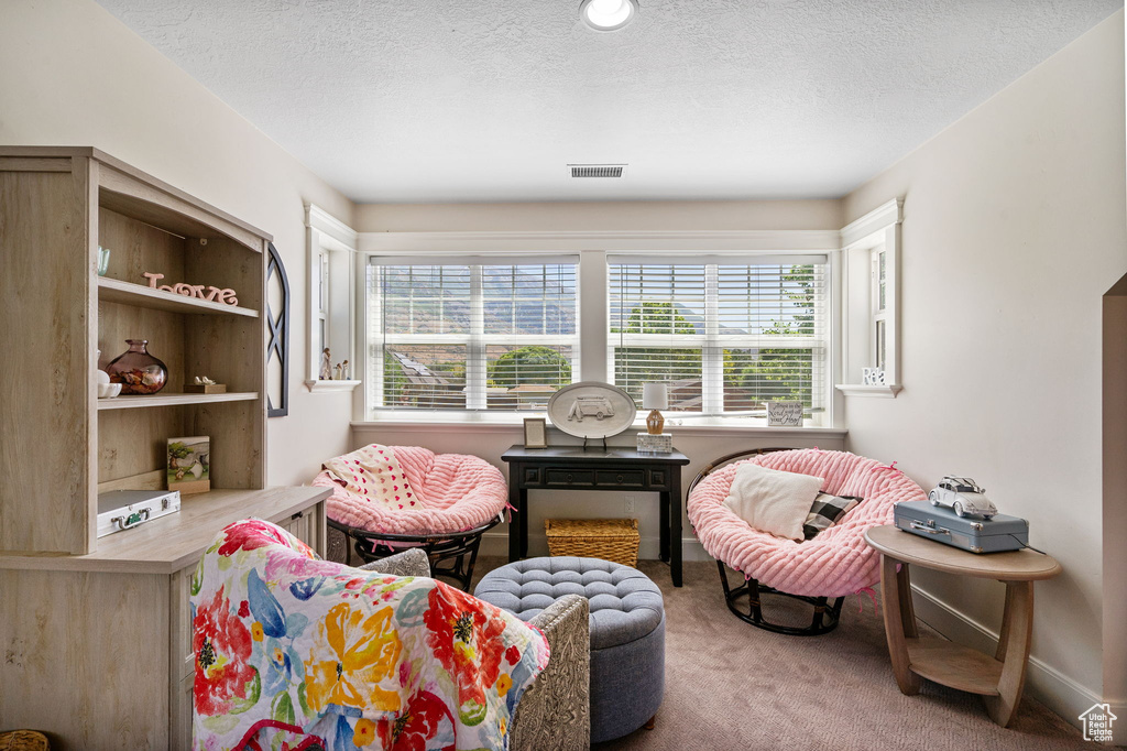 Living area with healthy amount of natural light, carpet, and a textured ceiling
