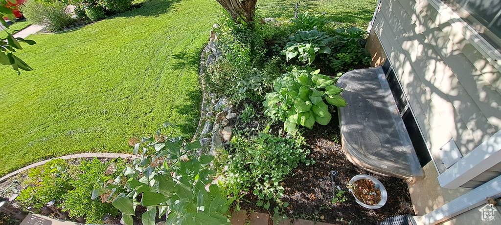 View of grassy yard