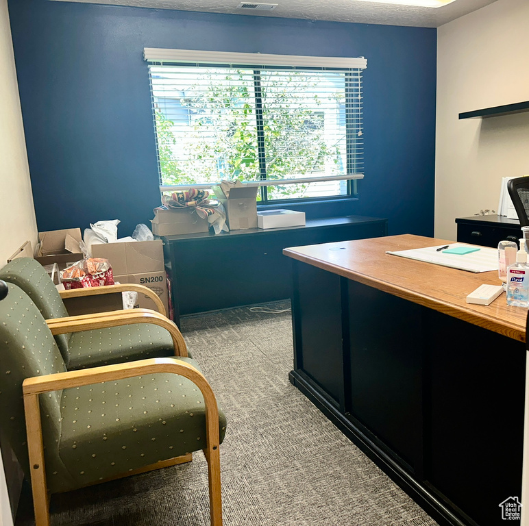 Home office featuring carpet flooring