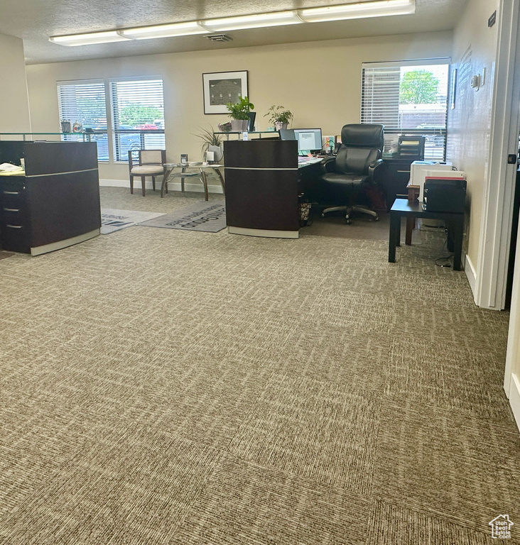 Carpeted office space with healthy amount of natural light