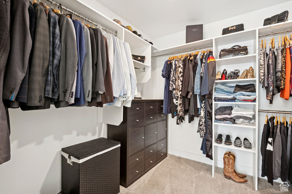 Walk in closet featuring carpet floors