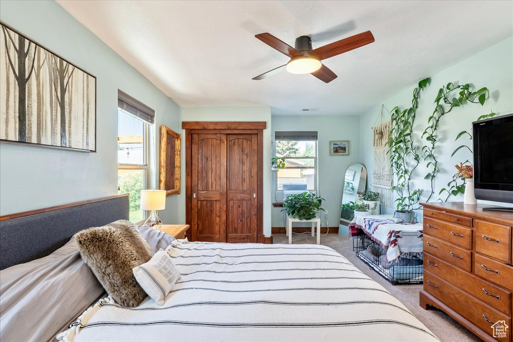 Bedroom with multiple windows, carpet, and ceiling fan