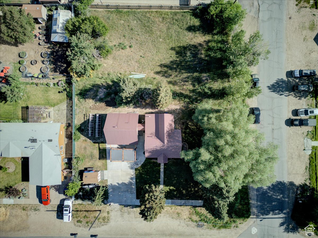 Bird\'s eye view