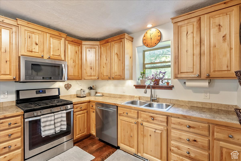 Kitchen featuring appliances with stainless steel finishes, light brown cabinets, and dark wood-type flooring