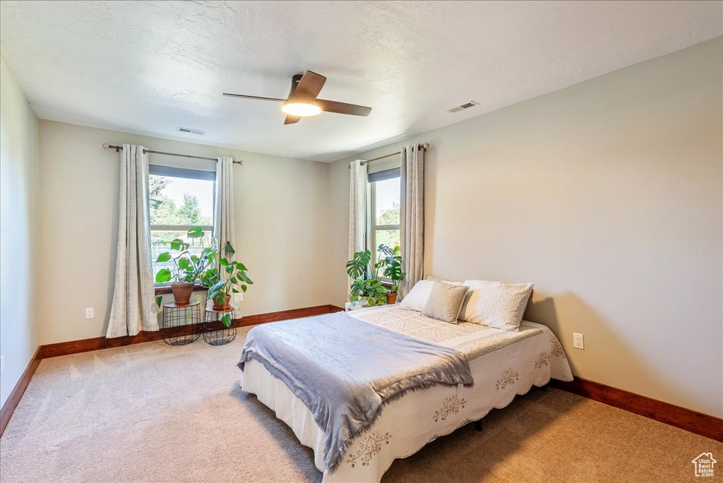Carpeted bedroom featuring multiple windows and ceiling fan