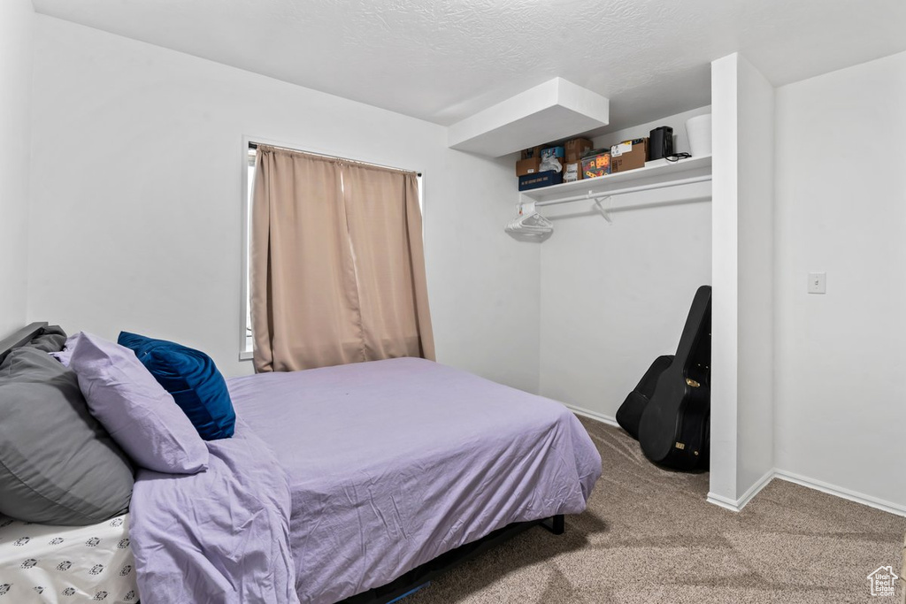 Bedroom featuring carpet flooring, a closet, and a textured ceiling
