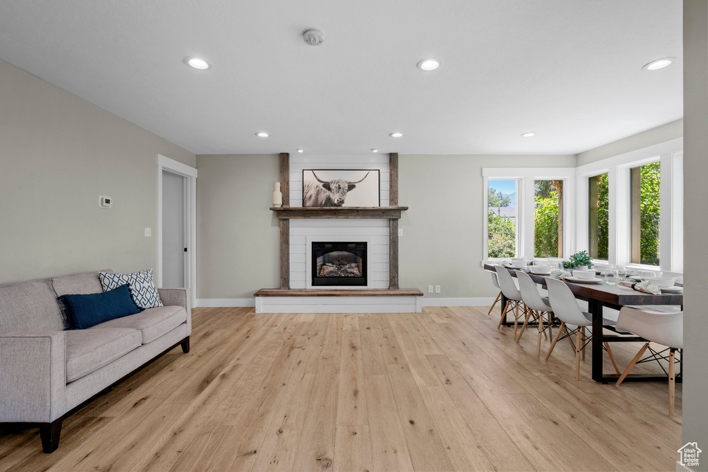 Living room featuring wood-type flooring, recessed lighting, and a fireplace