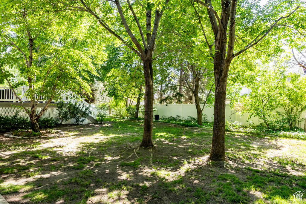 View of yard with stairway