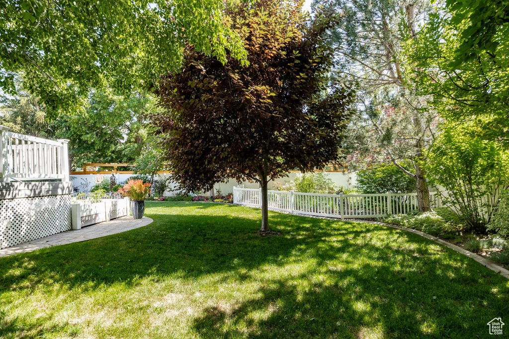 View of fenced backyard