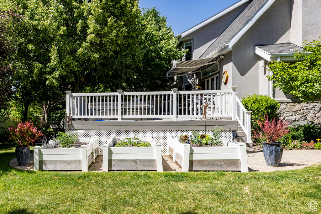 Rear view of house with stucco siding, a lawn, a wooden deck, and a vegetable garden