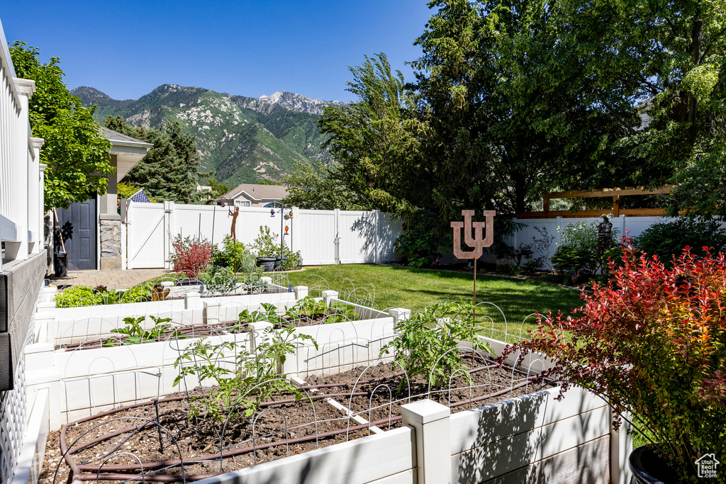 Fenced backyard with a garden, a gate, and a mountain view