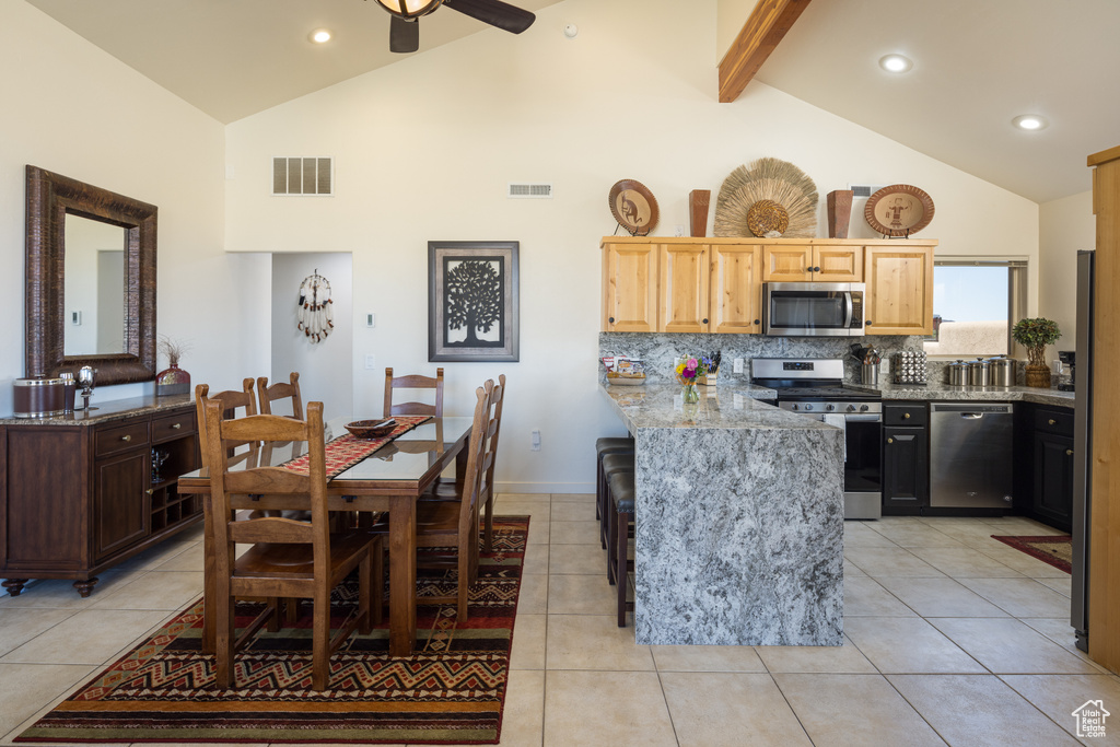Kitchen featuring stainless steel appliances, high vaulted ceiling, a peninsula, ceiling fan, and backsplash