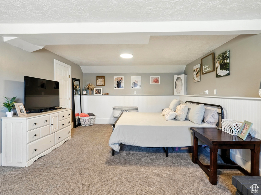 Bedroom with carpet floors, a wainscoted wall, and a textured ceiling