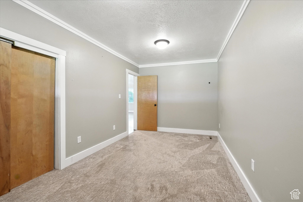 Carpeted empty room featuring a textured ceiling and ornamental molding