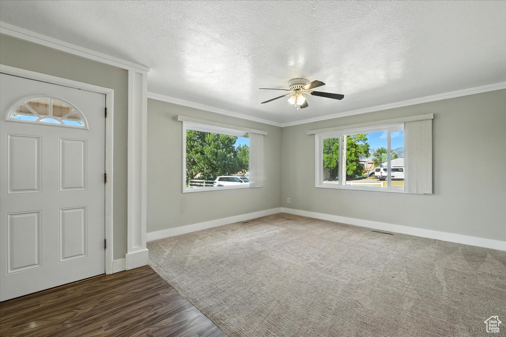 Entryway featuring ceiling fan, crown molding, wood finished floors, and a textured ceiling
