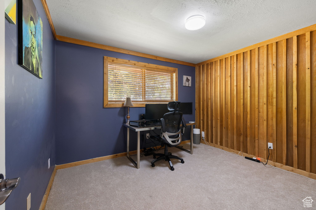 Office space featuring carpet flooring and a textured ceiling