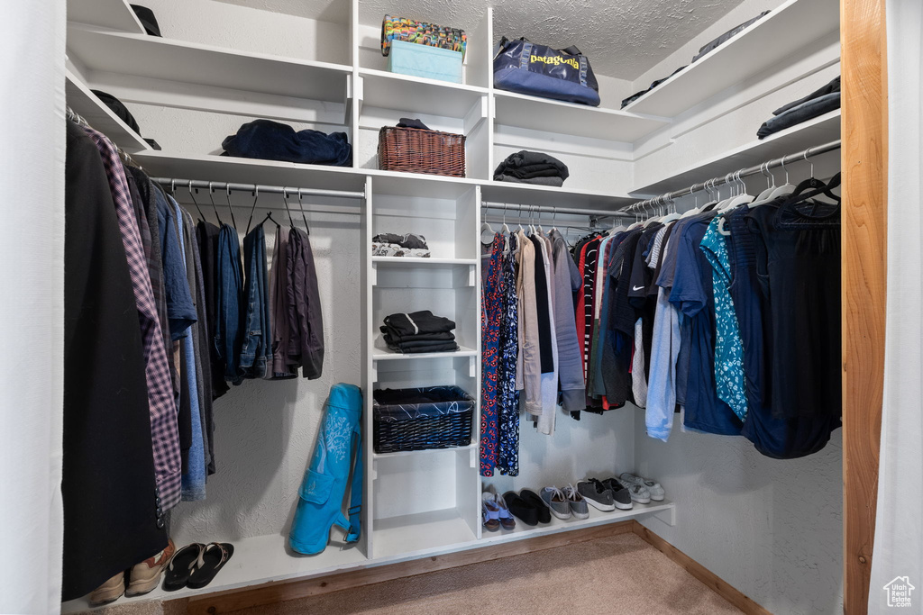 Walk in closet featuring carpet