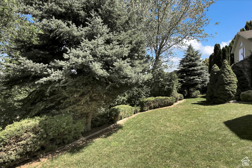 View of green lawn