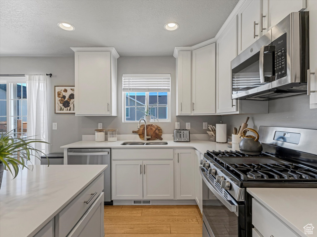 Kitchen featuring stainless steel appliances, plenty of natural light, recessed lighting, light wood-type flooring, and light countertops