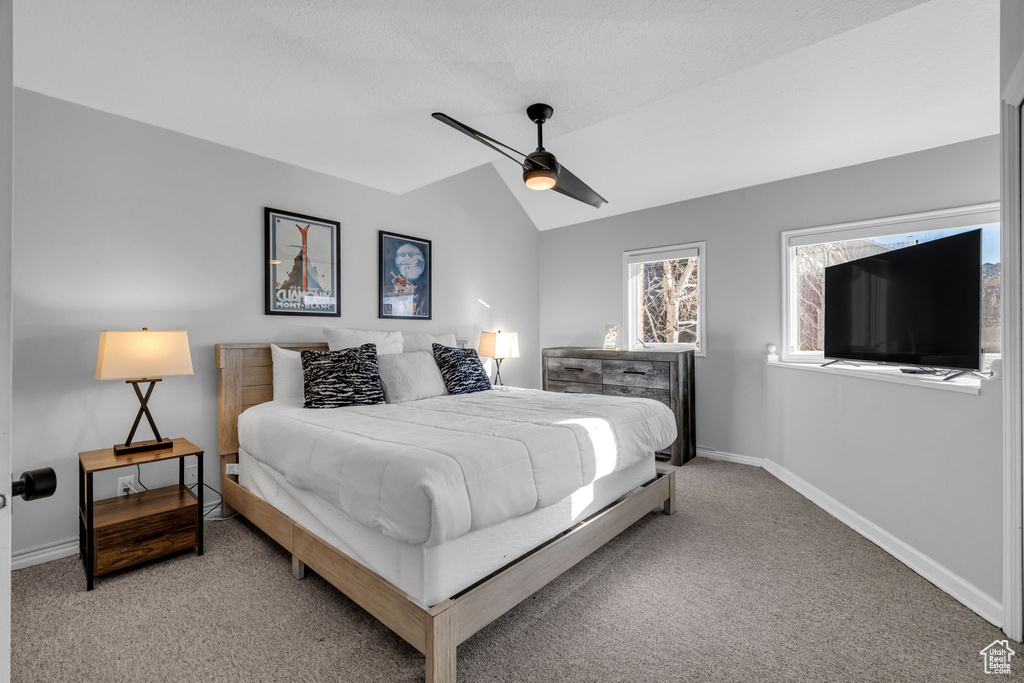 Carpeted bedroom with lofted ceiling and a ceiling fan