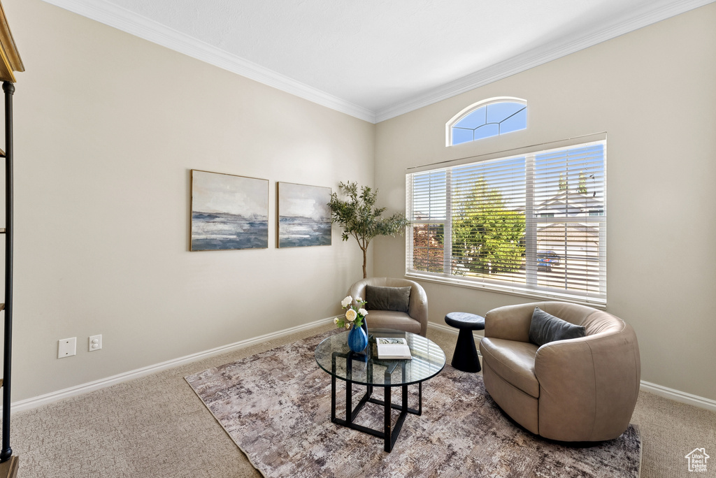 Sitting room with carpet and ornamental molding