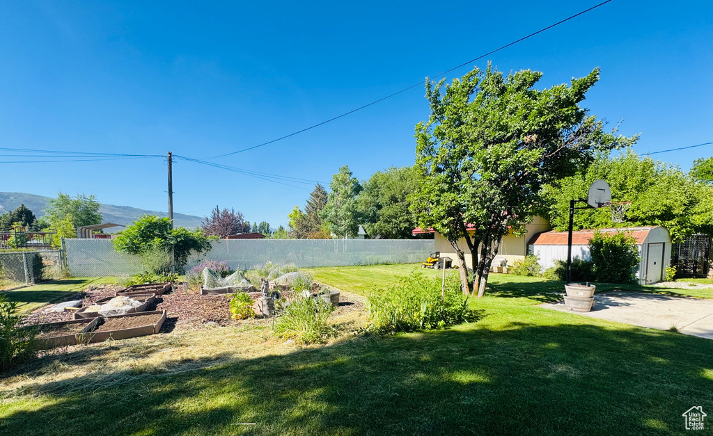 View of yard featuring a shed and a garden
