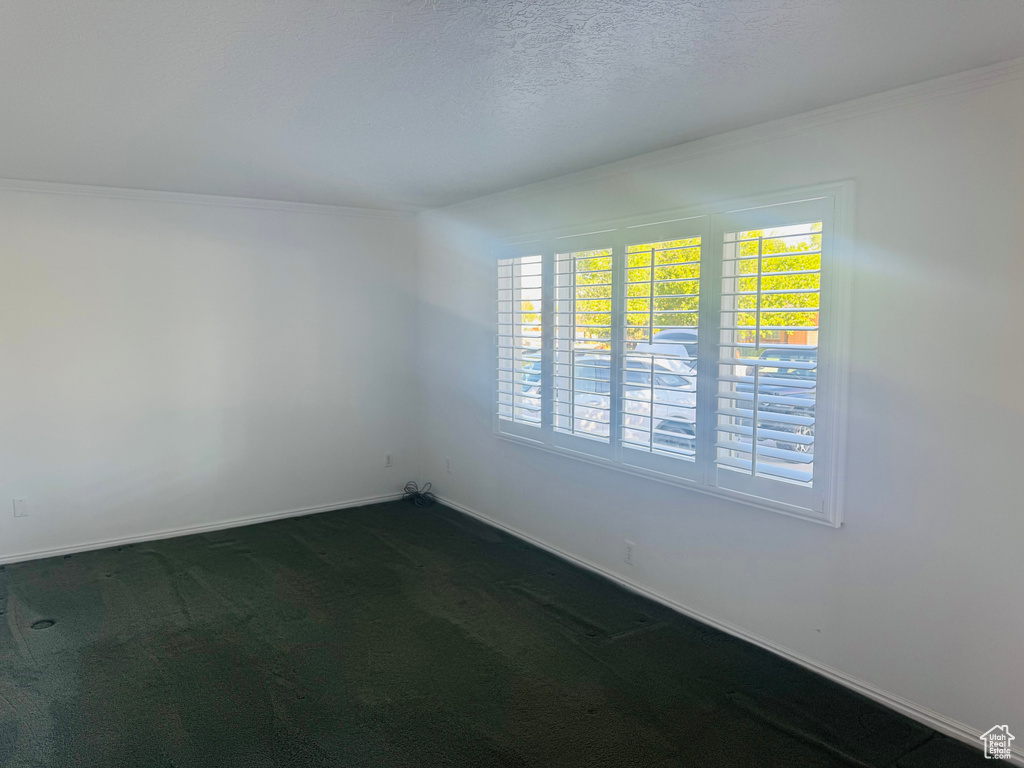Spare room with ornamental molding and dark carpet