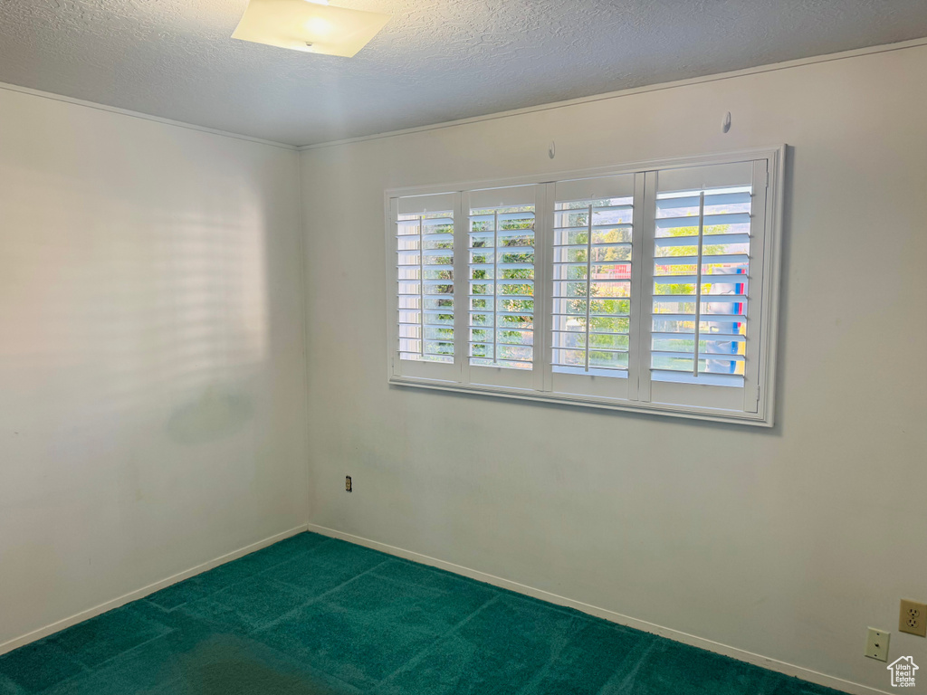 Carpeted spare room featuring a textured ceiling