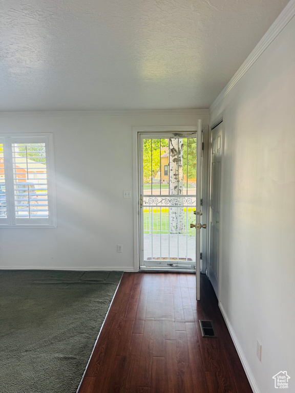 Doorway featuring dark wood-style floors, a textured ceiling, and crown molding