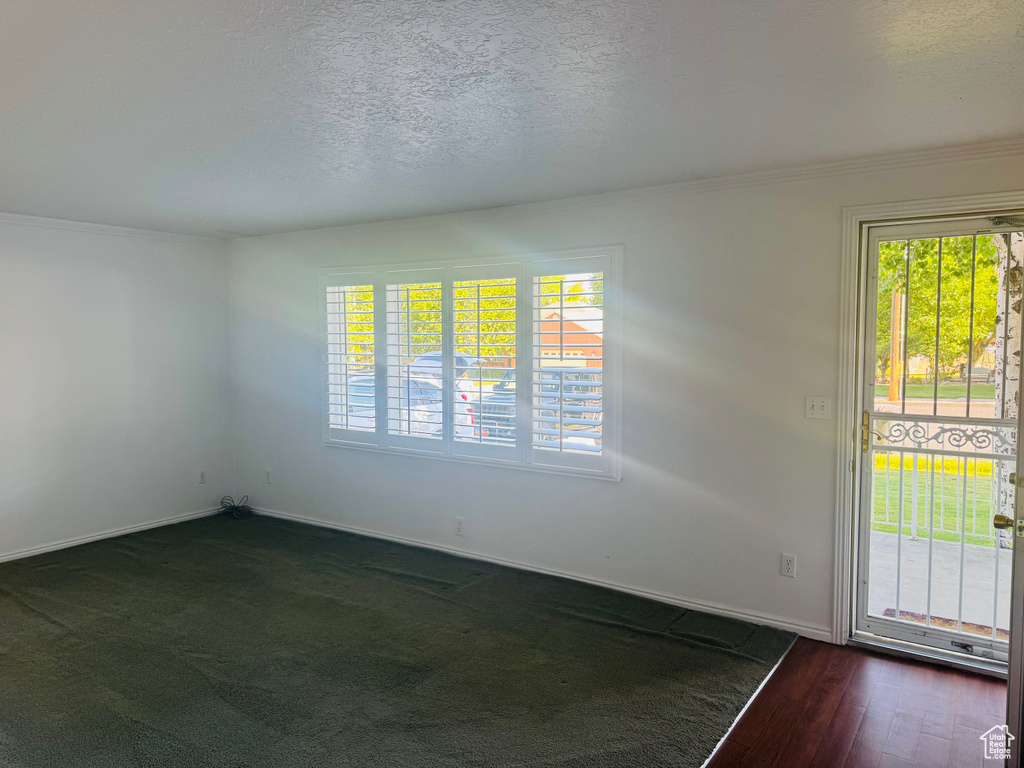 Spare room with ornamental molding and a textured ceiling